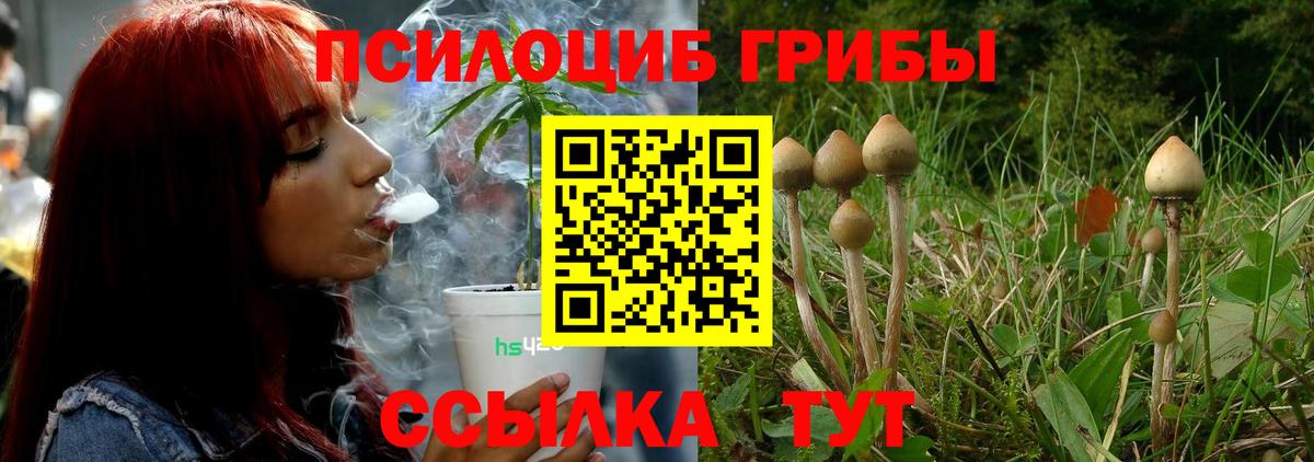 Галлюциногенные грибы Cubensis  Вход с VPN  Анапа  Галлюциногенные грибы MAGIC MUSHROOMS 